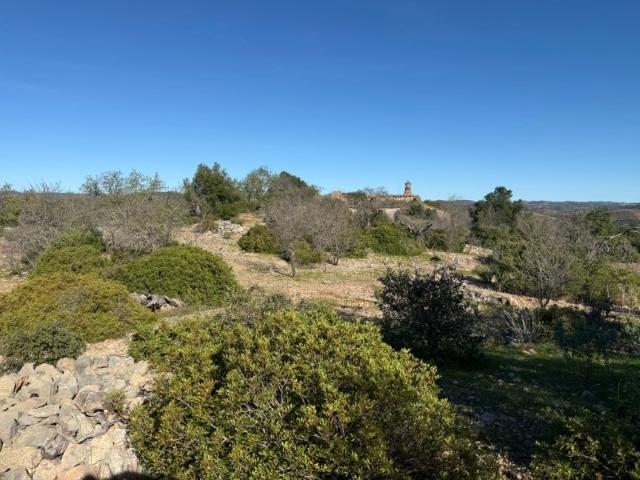 Terreno venda em Prego, Tavira