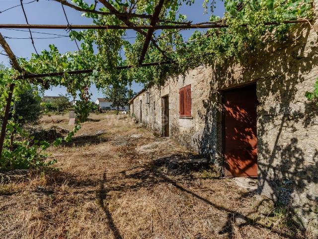 Terreno venda em Castelo Branco, Peraboa