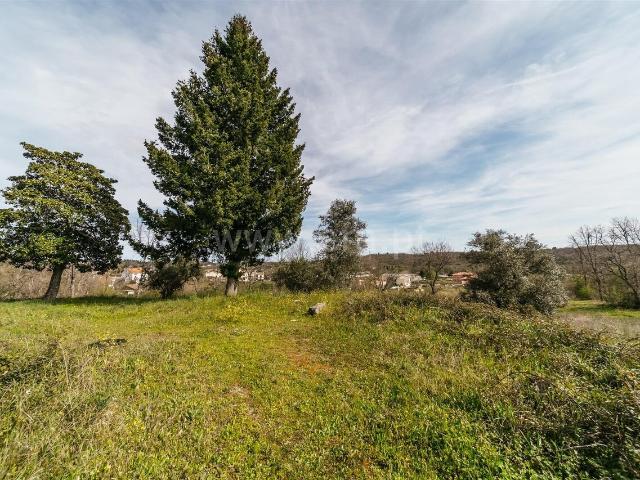 Terreno venda em Castelo Branco, Canhoso