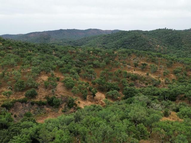 Vivenda venda em Grândola e Santa Margarida da Serra, Grândola