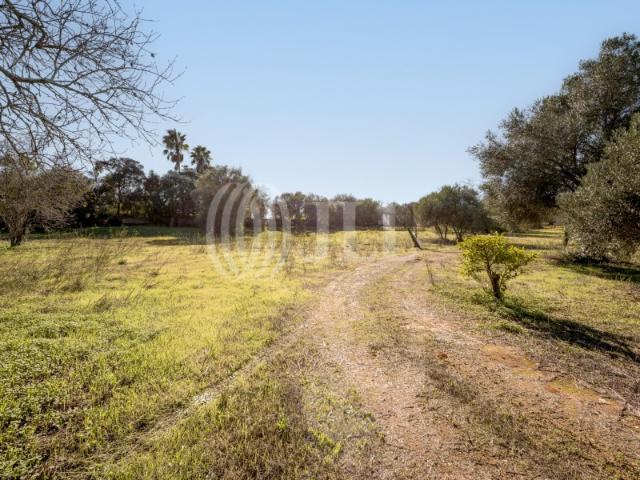 Terreno venda em Pêra, Faro