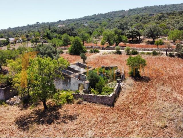 Terreno venda em Faro