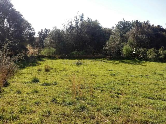 Terreno venda em Olhão, Faro