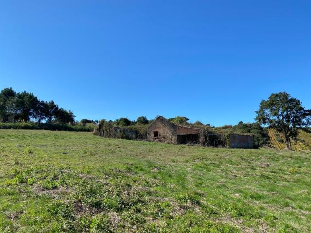 Terreno venda em Óbidos, Leiria