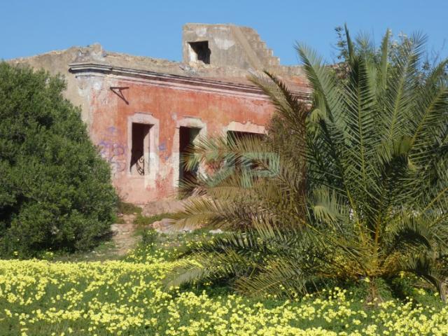 Terreno venda em Olhão, Faro