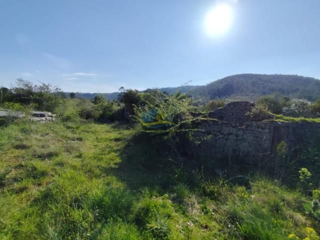 Terreno venda em Penela, Coimbra