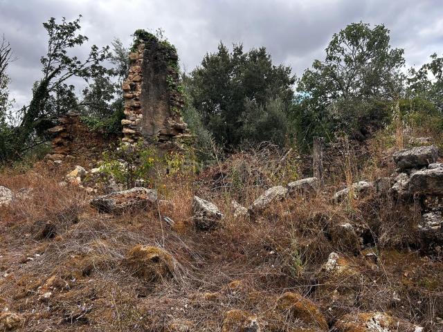 Terreno venda em Pussos, Leiria