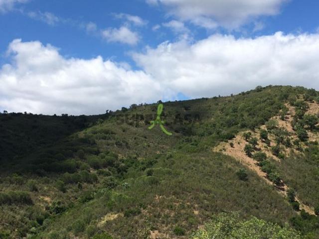 Terreno venda em São Bartolomeu De Messines, Faro