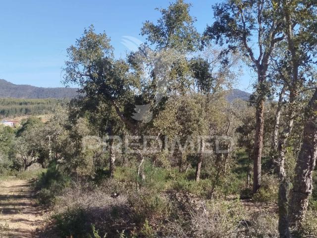 Terreno venda em Santiago Do Cacém, Setúbal