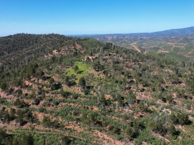 Terreno venda em Cerro de São Miguel, Silves