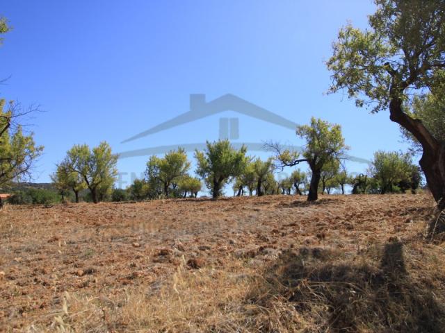 Casa venda em Faro