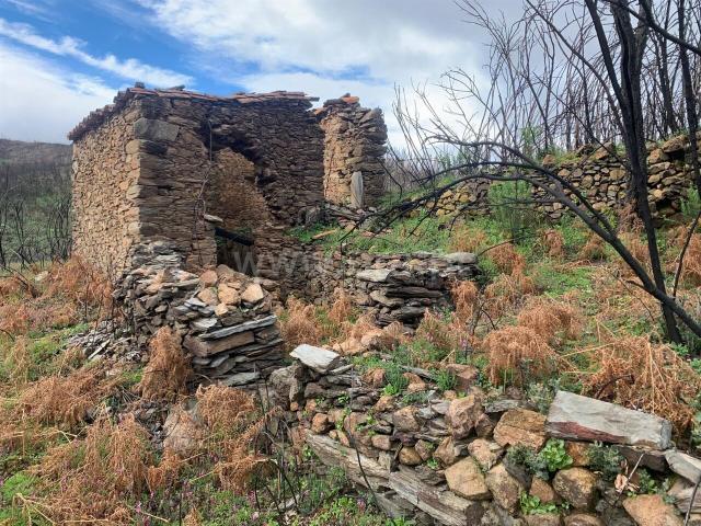 Terreno venda em Castelo Branco, Aldeia Nova Do Cabo