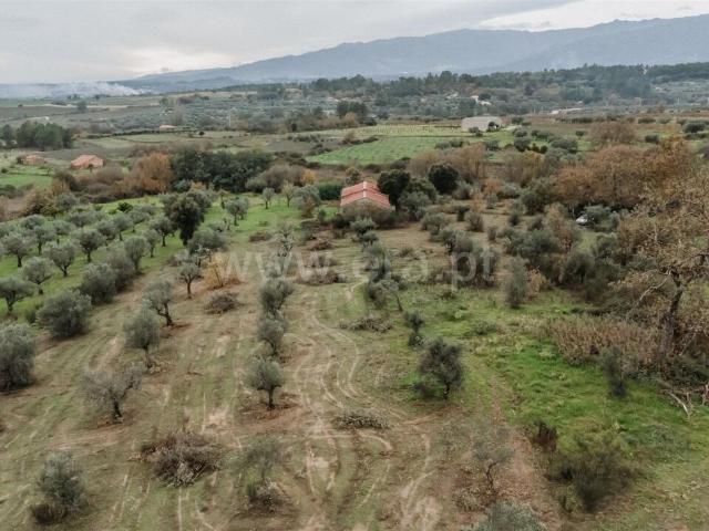 Quinta venda em Castelo Branco, Aldeia Nova Do Cabo