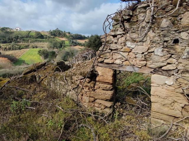 Terreno venda em Carvalhal Benfeito, Caldas Da Rainha