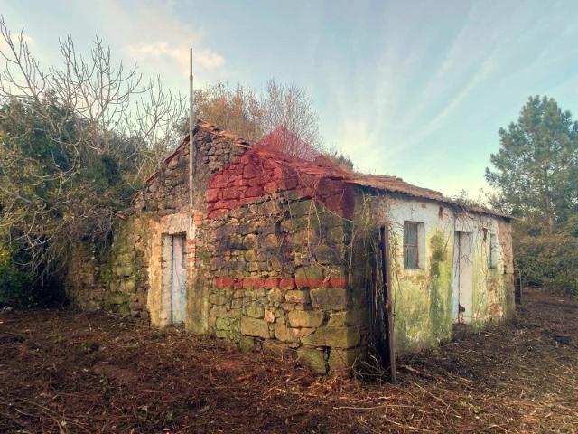 Terreno venda em Óbidos, Leiria