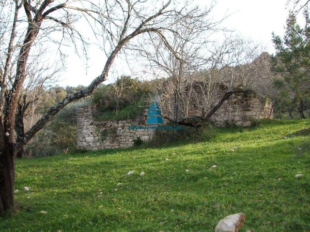 Terreno venda em Loulé, Faro
