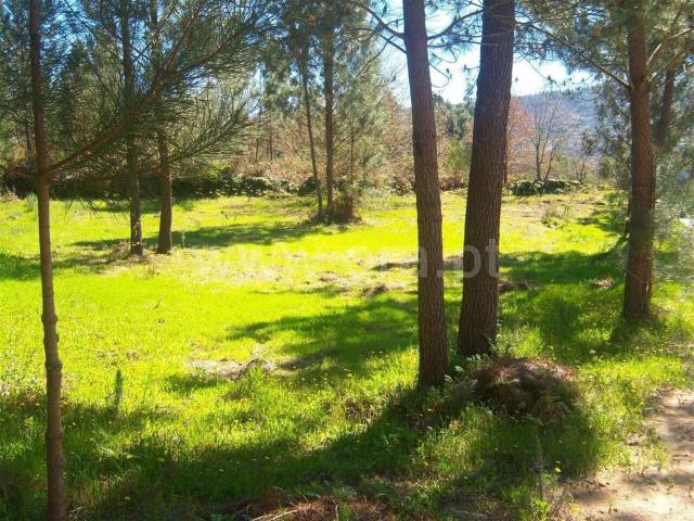 Terreno venda em Cristóvão, Sande