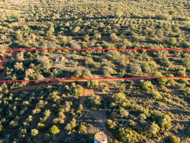 Terreno venda em Marcos Mendes, Loulé