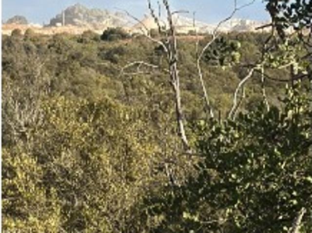 Terreno venda em Albufeira, Faro