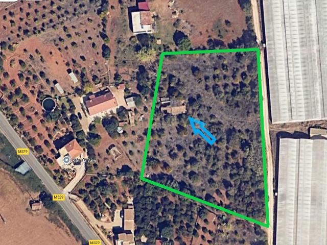Terreno venda em Silves, Faro