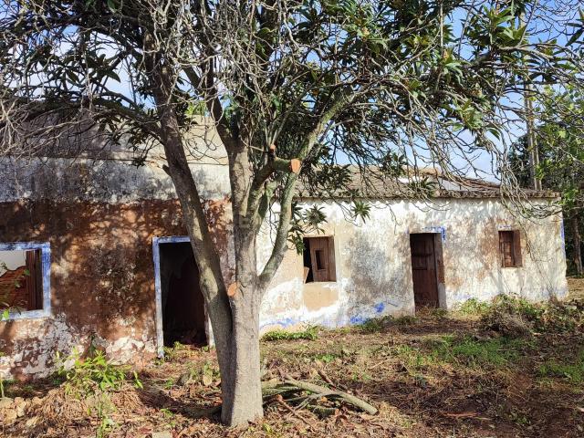Terreno venda em Silves, Faro