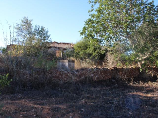 Terreno venda em São Bartolomeu De Messines, Faro
