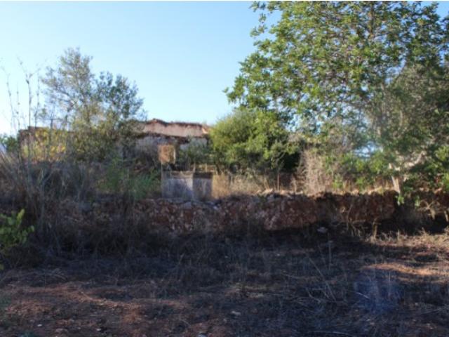 Terreno venda em São Bartolomeu De Messines, Faro