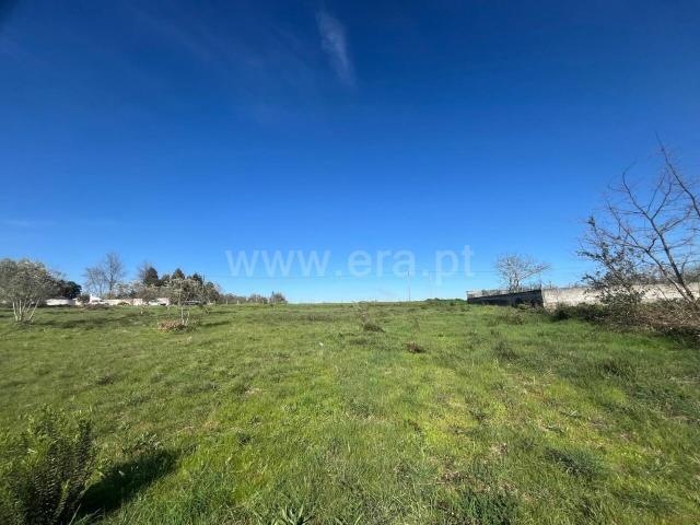 Terreno venda em Travanca De Lagos, Coimbra