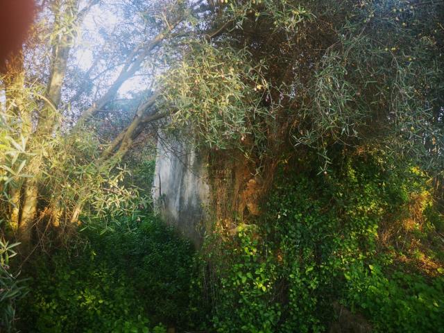 Terreno venda em Faro