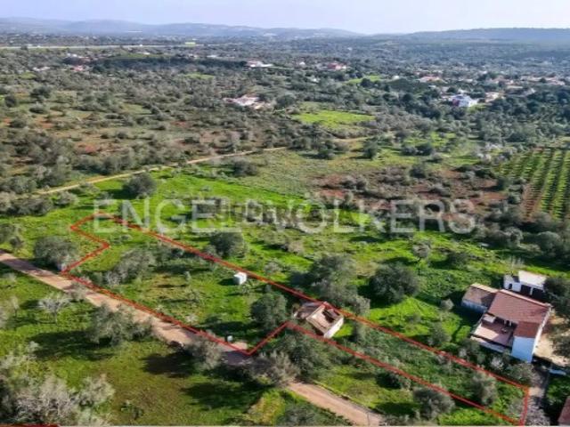 Terreno venda em Silves Terreno venda em Silves