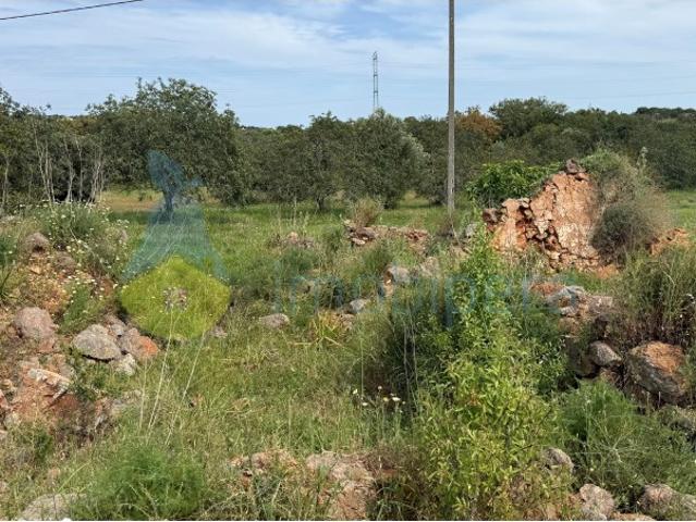 Casa venda em São Bartolomeu De Messines, Faro