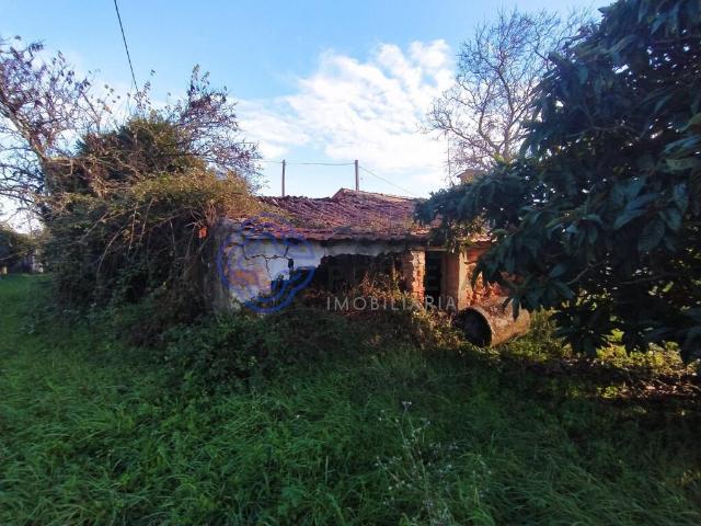 Vivenda venda em São Pedro De Tomar, Vermoeiros