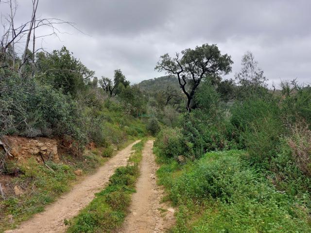 Terreno venda em Monchique, Faro