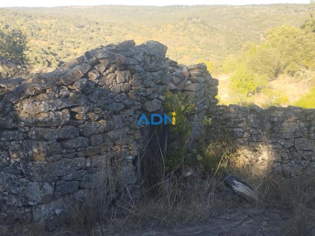 Terreno venda em Guarda, Almeida