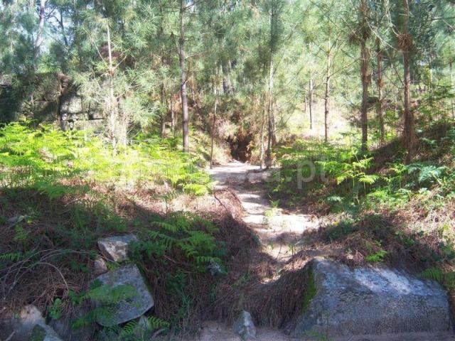 Terreno venda em Cristóvão, Sande
