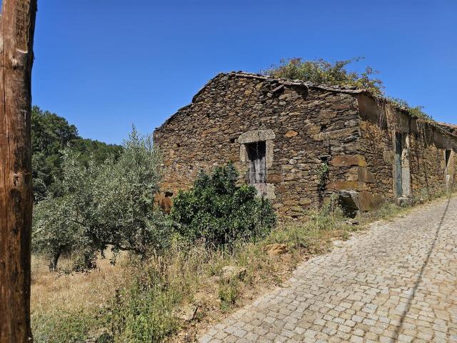 Terreno venda em Castelo Branco, Aldeia Nova Do Cabo
