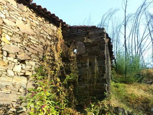 Terreno Com Ruínas Terreno Com Ruínas