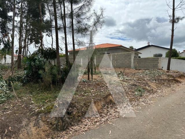 Terreno venda em Oliveira Do Bairro, Aveiro