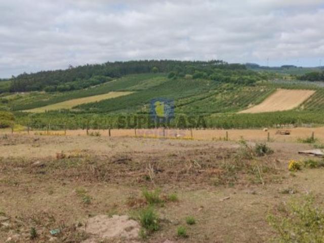 Terreno venda em Bombarral, Roliça Terreno venda em Bombarral, Roliça