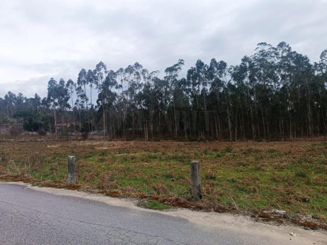 Terreno venda em Alheira e Igreja Nova, Arcozelo