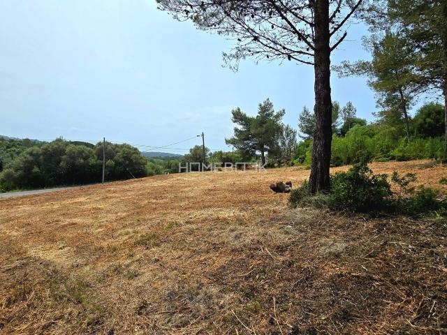 Terreno venda em Quinta Verde, Sintra