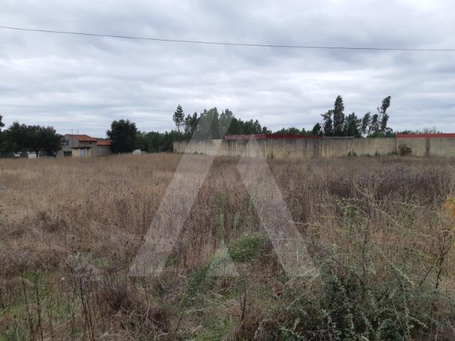 Terreno venda em Anadia, Aveiro