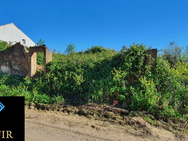 Terreno venda em Rego Da Murta, Santarém