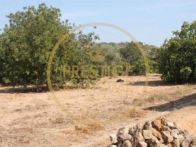 Terreno venda em Almeijoafras, Paderne