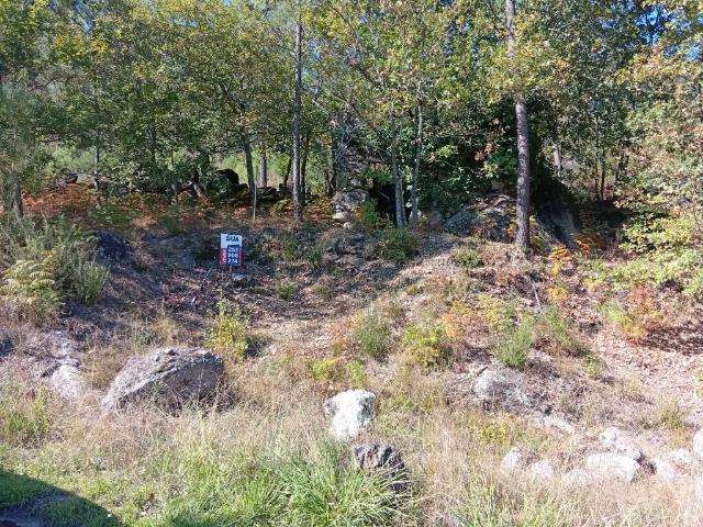 Terreno venda em Bouro (Santa Maria), Amares