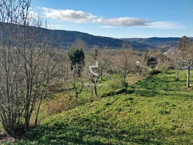 Terreno venda em Coura, Viana Do Castelo