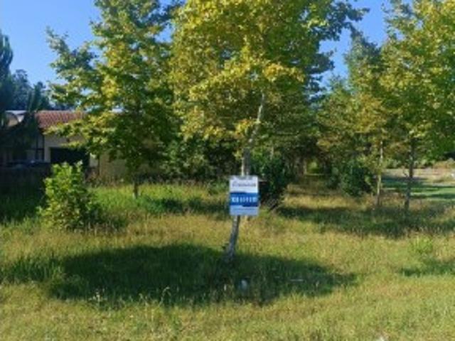 Terreno venda em Cantanhede, Coimbra