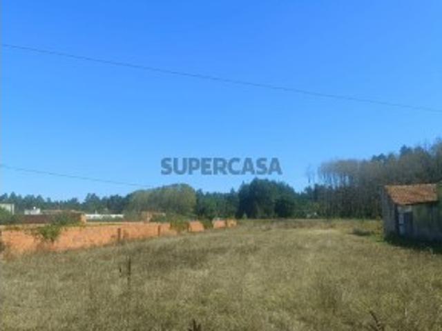 Terreno venda em Cantanhede, Coimbra