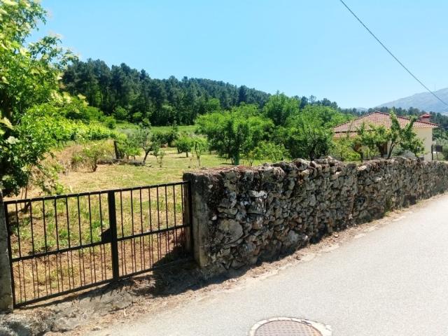Terreno venda em Tarouca, Viseu
