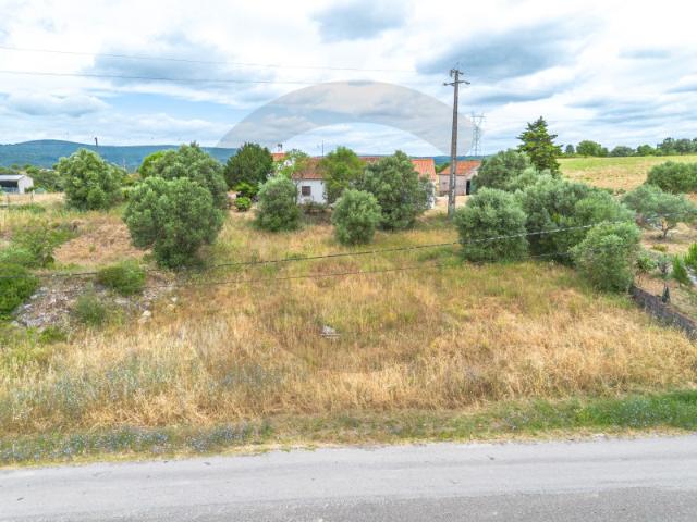 Terreno venda em Torres Novas, Santarém